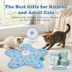 Gugxiom Interactive Hide and Seek Cat Toy for Indoor, Automatic Cat Hunting Toy with Moving Feather and Chirping, USB Rechargeable, for Kitten Adult Cats