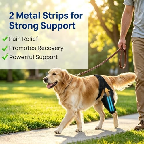 Dog Knee Brace for Back Leg, Medium