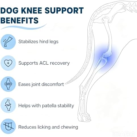 Dog Knee Brace for Back Leg, Medium