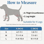 Dog Knee Brace for Back Leg, Medium