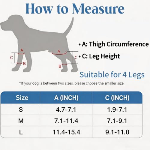 Dog Knee Brace for Back Leg, Medium