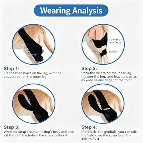 Dog Knee Brace for Back Leg, Medium