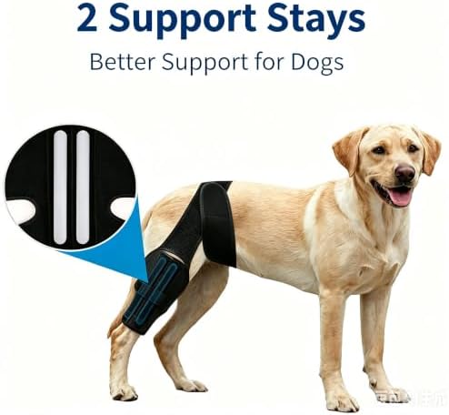 Dog Knee Brace for Back Leg, Medium