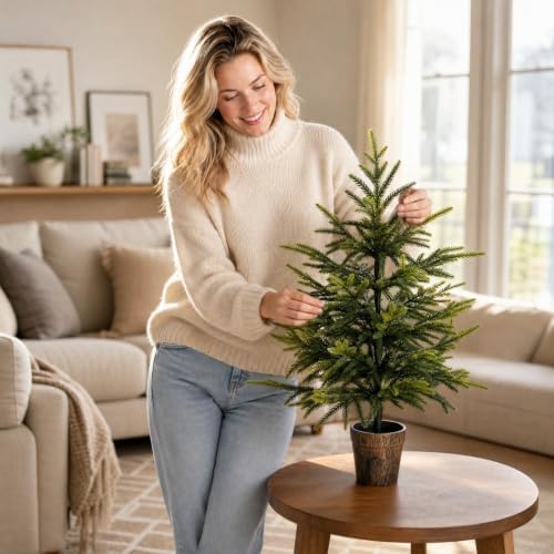 2FT Pre-Lit Artificial Norfolk Pine Small Christmas Tree (no Light)