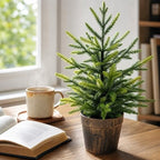 2FT Pre-Lit Artificial Norfolk Pine Small Christmas Tree (no Light)