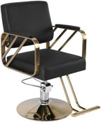 Barber Chair Capacity 420 Lbs Hairdresser Salon Chair with Heavy