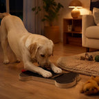 Wooden Dog Nail Scratch Board with Treat Box
