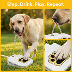 Paw Activated Outdoor Dog Water Fountain, Heavy-Duty Sprinkler with Brass Valve