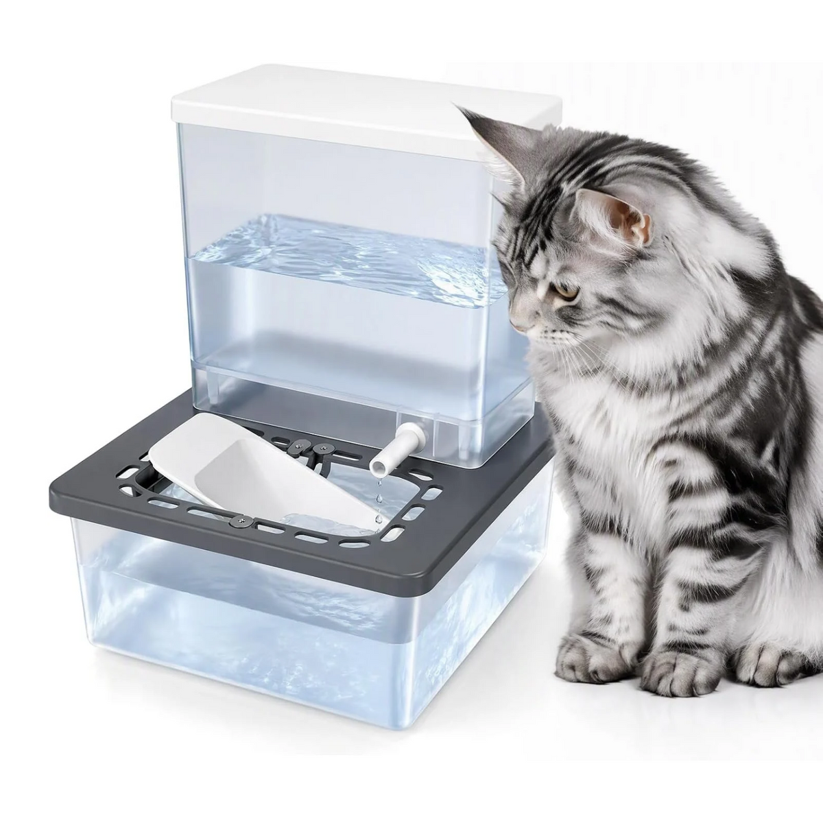 Pet Drinking Fountain, No Pump, Clean/Dirty Separation