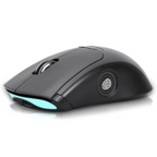 Gugxiom Wireless Computer Mouse with Fingerprint Reader (Gray)