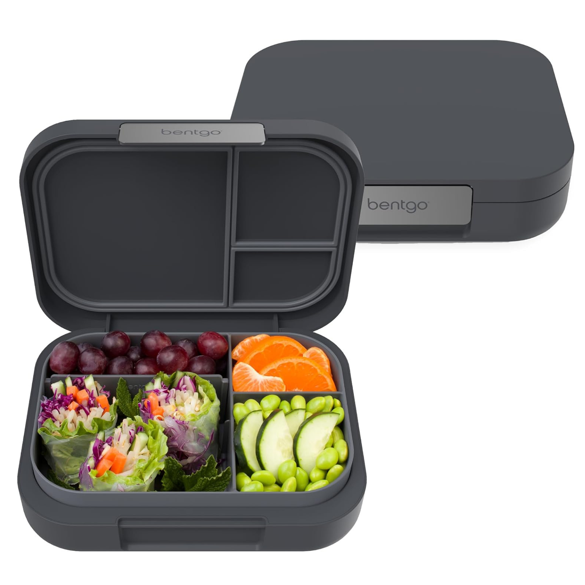 Modern Adult Bento Lunch Box with 3-4 Compartments