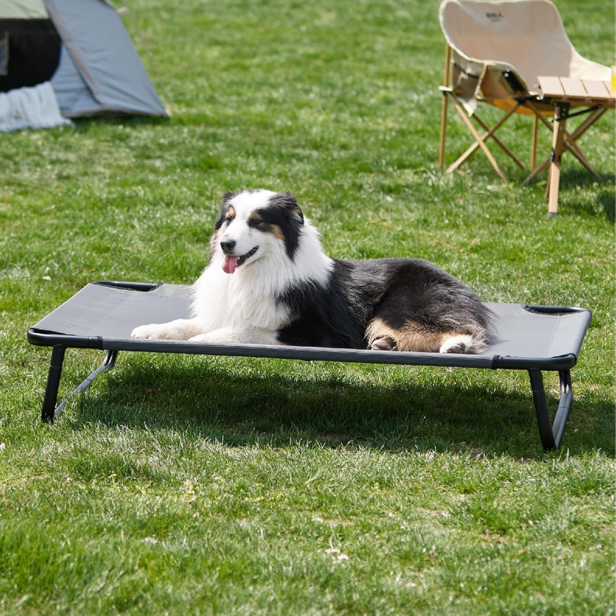 Made4Pets Elevated Dog Bed, 42 x 28" Raised Cot for Large Do